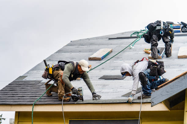 Professional Roofing technician working in Francisco, IN
